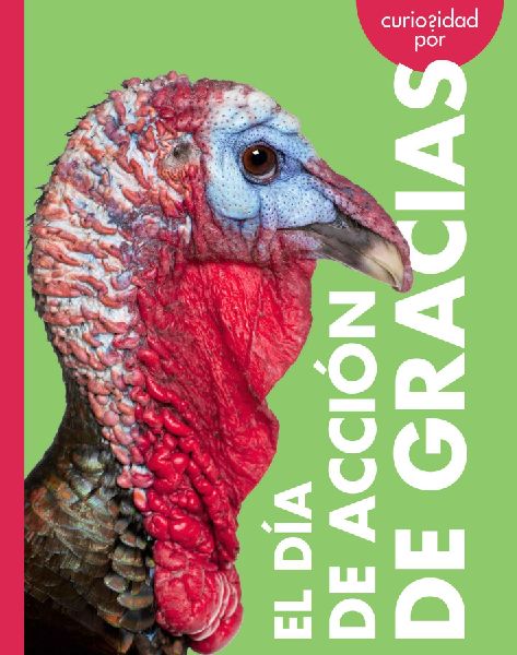 Curiosidad Por El Día de Acción de Gracias