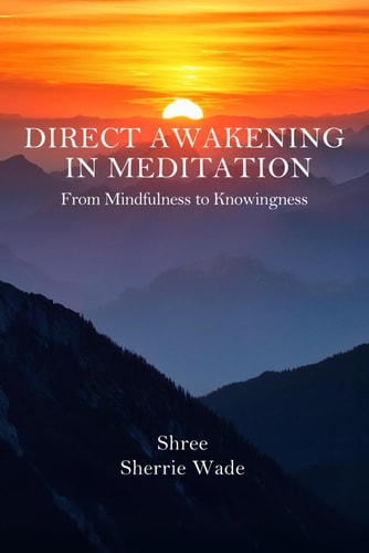 Direct Awakening in Meditation From Mindfulness to Knowingness