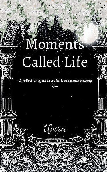 Moments Called Life: A collection of all these little moments passing by...