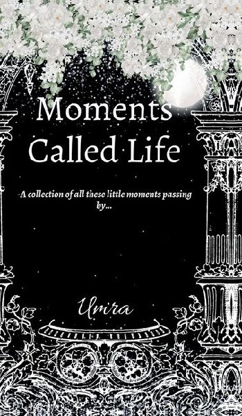 Moments Called Life: A collection of all these little moments passing by...