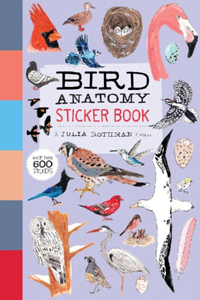 Bird Anatomy Sticker Book: A Julia Rothman Creation; More Than 600 Stickers
