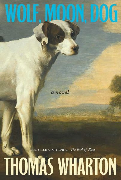 Wolf, Moon, Dog