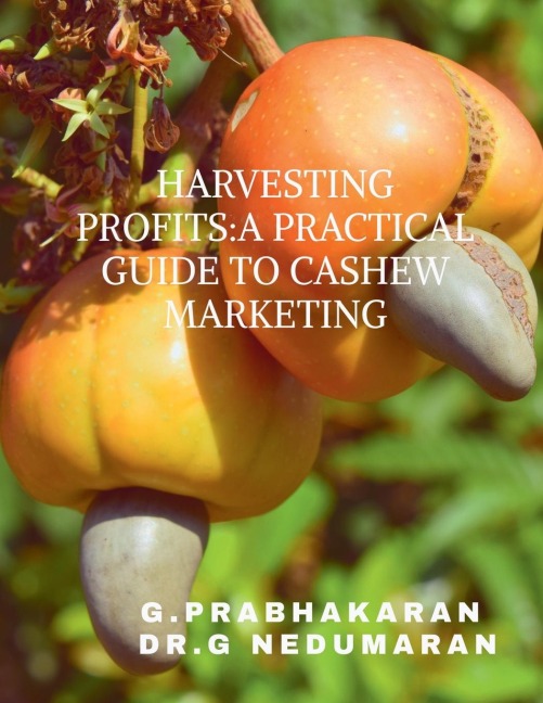 Harvesting Profits: A Practical Guide to Cashew Marketing
