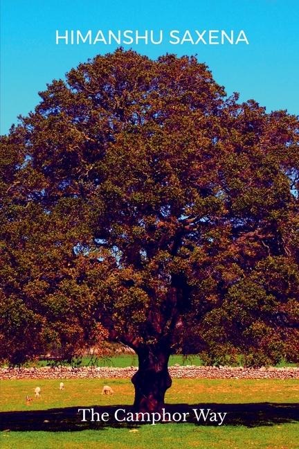The Camphor Way: How to Burn Brightly, Let Go, and Leave a Lasting Impact