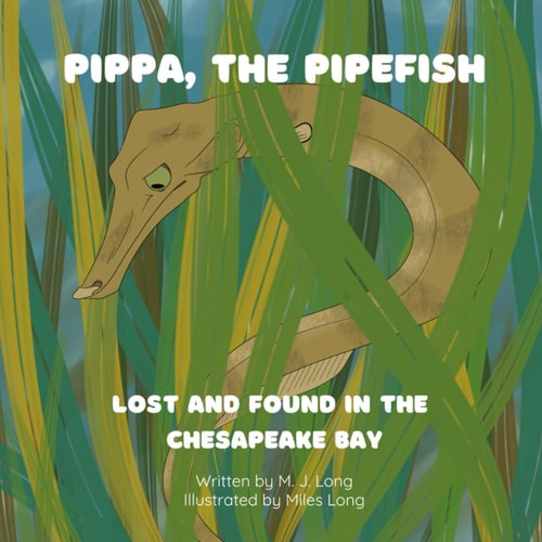 Pippa, The Pipefish