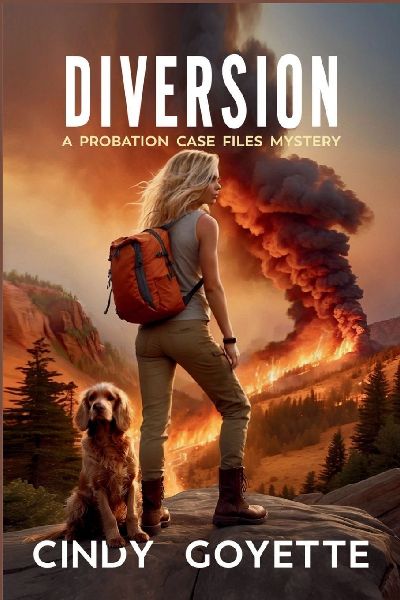 Diversion: A Probation Case Files Mystery