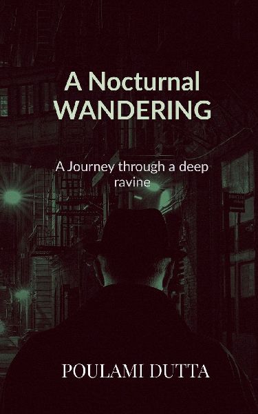 A Nocturnal Wandering: A Journey through a deep ravine