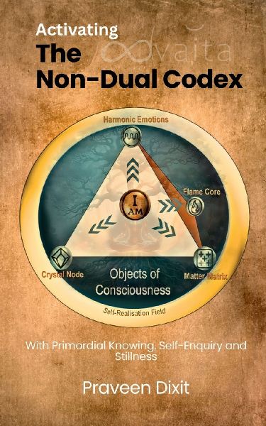 Activating the Non-Dual Codex: With Primordial Knowing, Self-Enquiry and Stillness