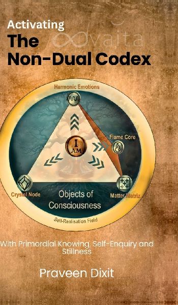 Activating the Non-Dual Codex: With Primordial Knowing, Self-Enquiry and Stillness