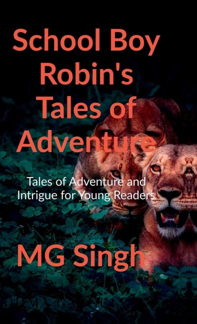 School Boy Robins Tales of Adventure: Tales of Adventure And Intrigue for Young Readers
