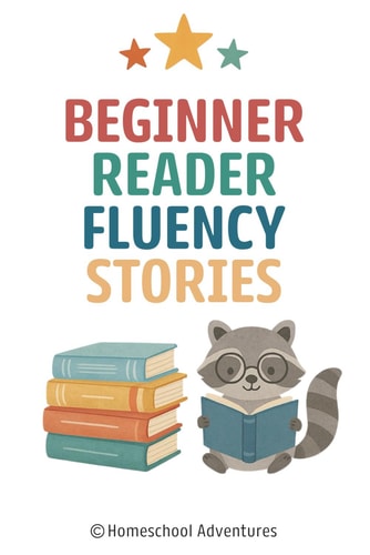 Beginner Reader Fluency Stories Reading Fluency 1st Grade
