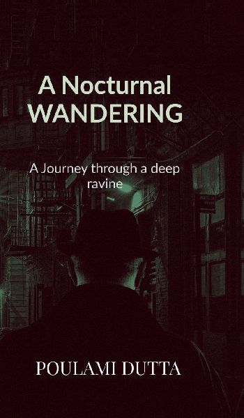 A Nocturnal Wandering: A Journey through a deep ravine