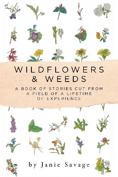 Wildflowers and Weeds