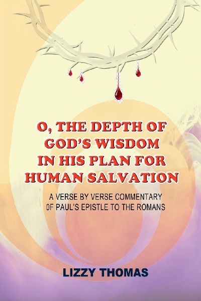 O, the Depth of Gods Wisdom in His Plan for Human Salvation!: A verse-by-verse Commentary on Pauls Epistle to the Romans