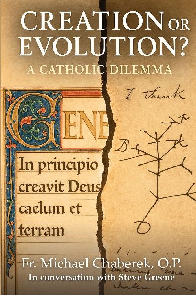 Creation or Evolution? A Catholic Dilemma