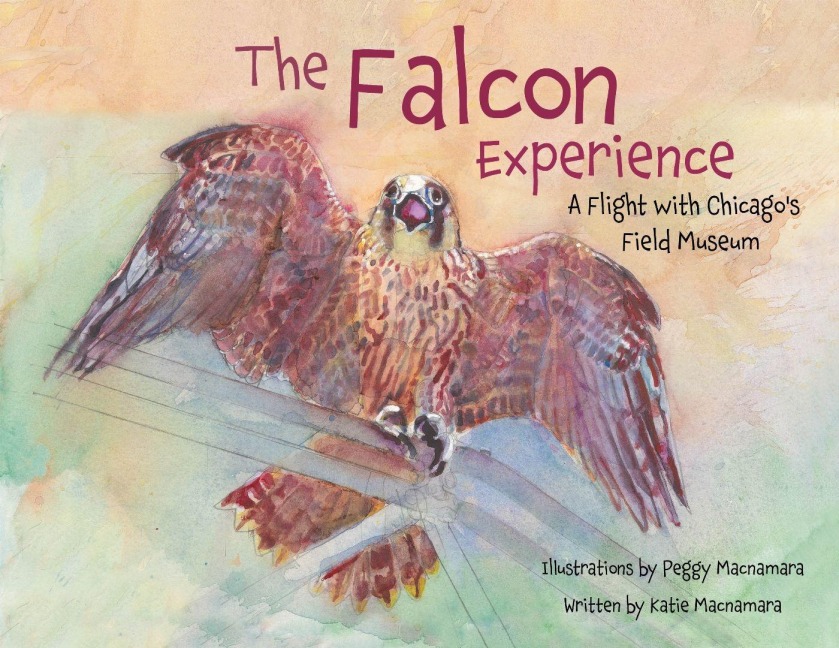 The Falcon Experience: A Flight with Chicagos Field Museum