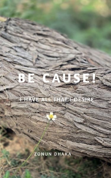 Be Cause!: I have all that I desire