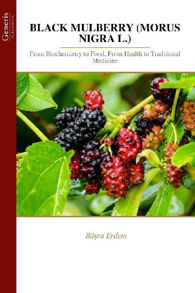 BLACK MULBERRY (MORUS NIGRA L.): From Biochemistry to Food, From Health to  Traditional Medicine