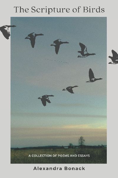 The Scripture of Birds: A collection of poems and essays about trauma and healing