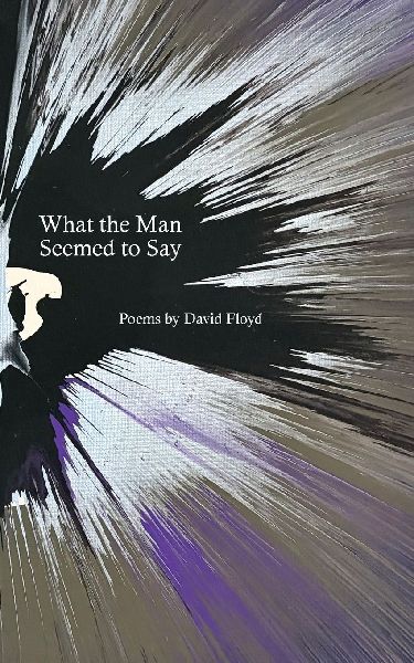 What the Man Seemed to Say