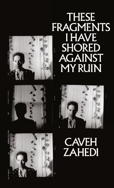 These Fragments I Have Shored Against My Ruin