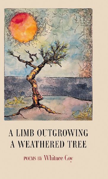 A Limb Outgrowing a Weathered Tree