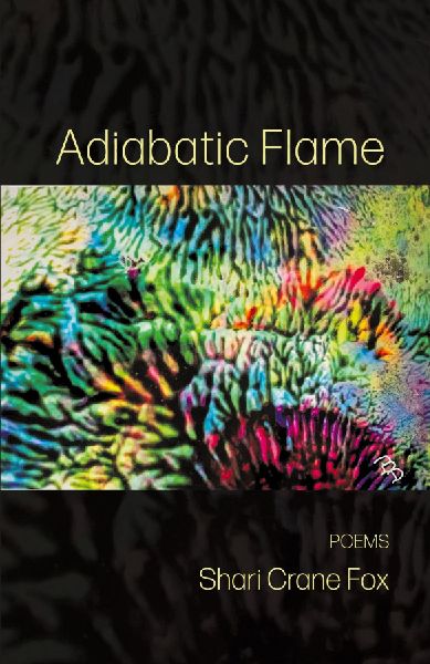 Adiabatic Flame