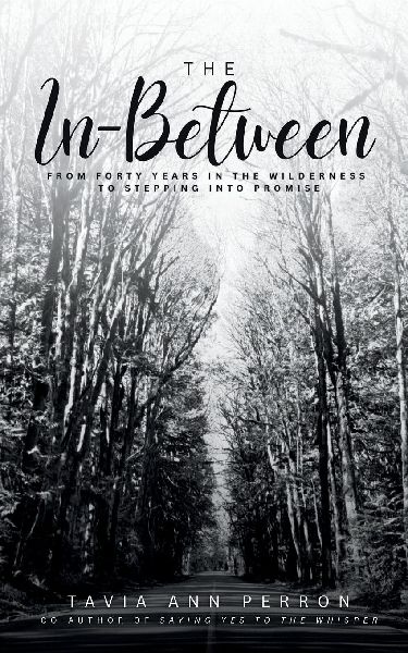The In-Between: From Forty Years in the Wilderness to Stepping into Promise
