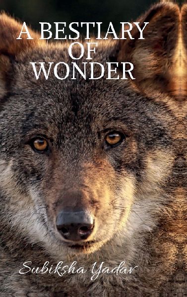 A Bestiary of Wonder: Reflections of the Hidden Kingdom