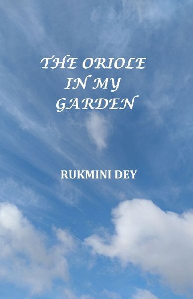 The Oriole In My Garden