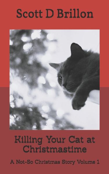 Killing Your Cat at Christmastime: A Not-So Christmas Story