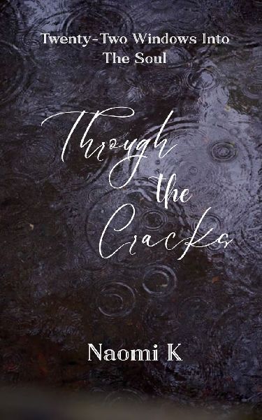 Through The Cracks Twenty-Two Windows Into The Soul