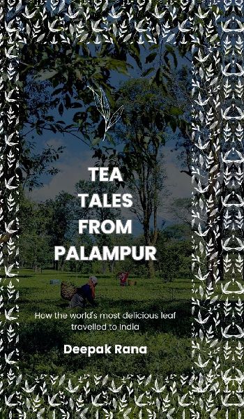 Tea Tales from Palampur: How the worlds most delicious leaf travelled to India