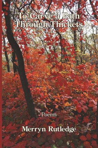 To Carve a Path Through Thickets