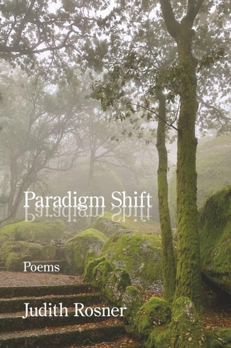 Paradigm Shift