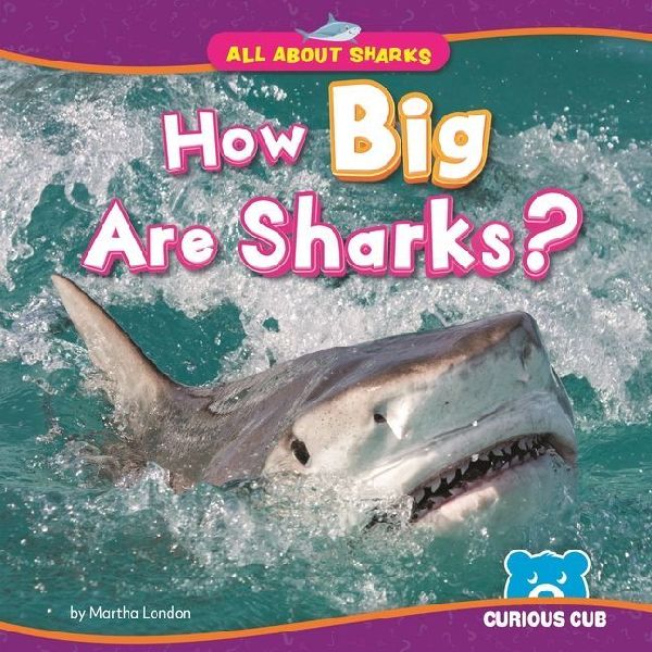 How Big Are Sharks?