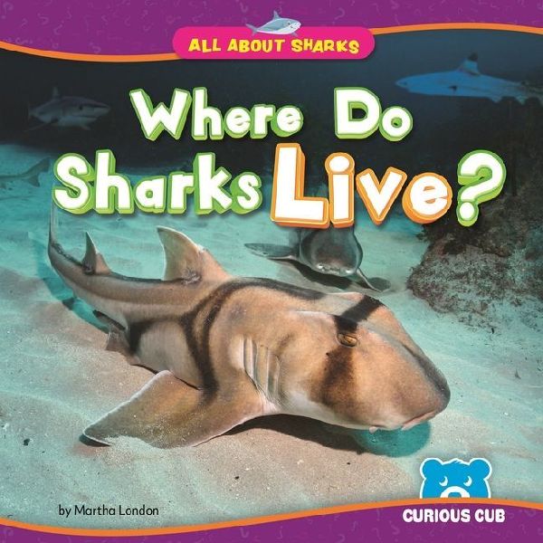 Where Do Sharks Live?