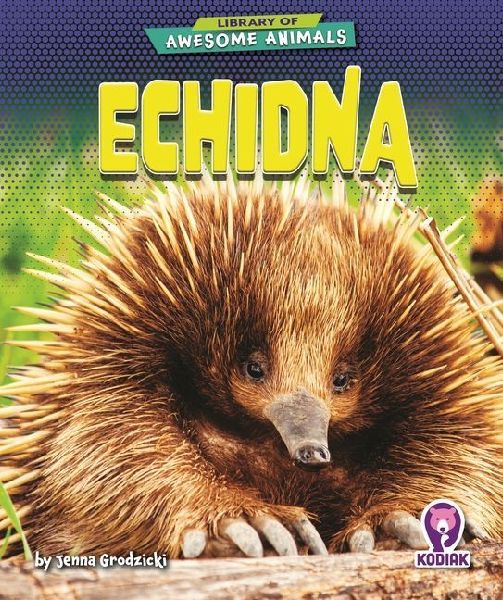 Echidna
