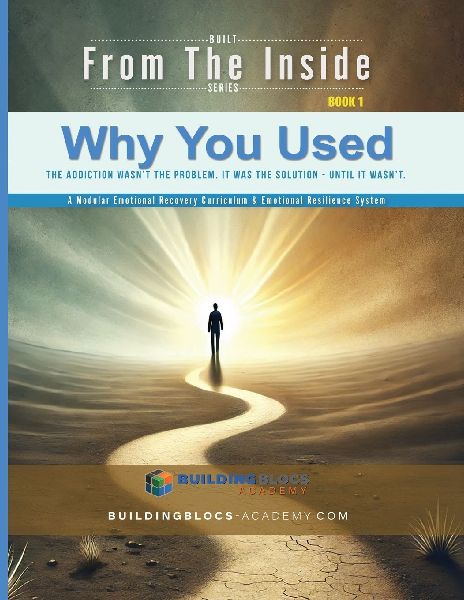 Why You Used: The Addiction Wasnt the Problem. It Was the Solution - until It Wasnt