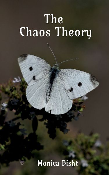 The Chaos Theory