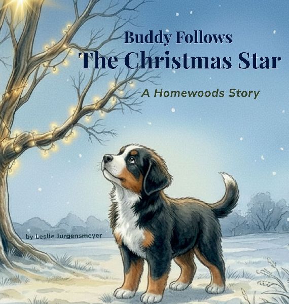 Buddy Follows the Christmas Star