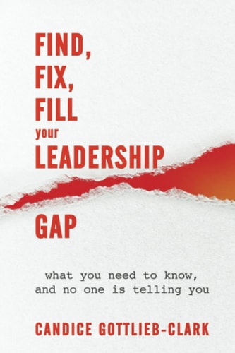 Find, Fix, Fill Your Leadership Gap What You Need to Know, and No One is Telling You