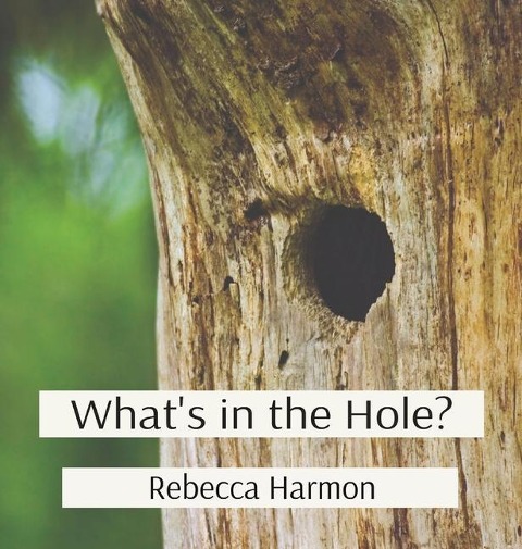 Whats in the Hole?