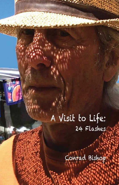 A Visit to Life: 24 Flashes