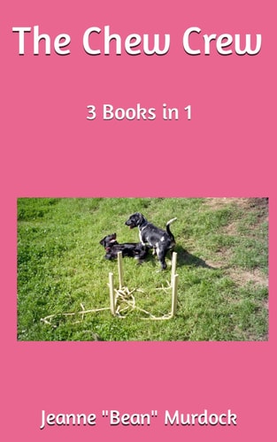 The Chew Crew 3 Books in 1