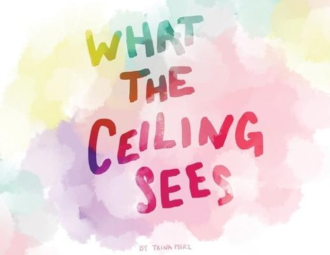 What the Ceiling Sees