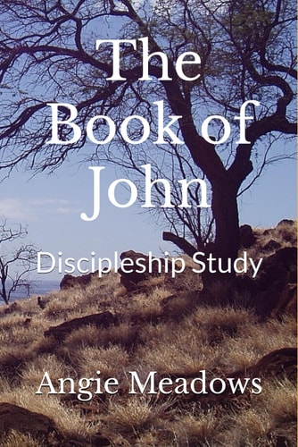 The Book of John Discipleship Study