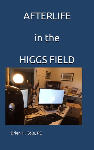 AFTERLIFE in the HIGGS FIELD