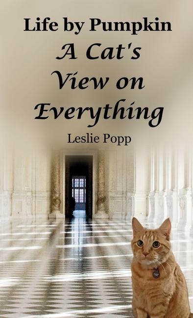 Life by Pumpkin: A Cats View on Everything