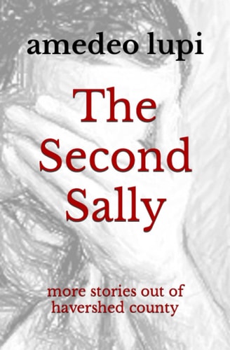 The Second Sally More Stories Out of Havershed County